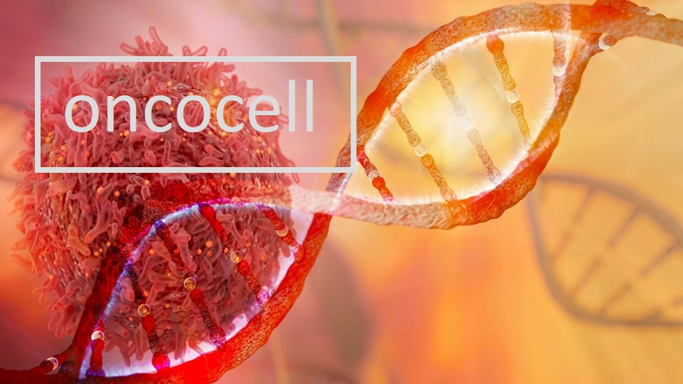 Herediter (Ailesel) Kanser Paneli