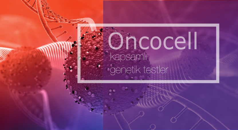 BRCA1-BRCA2 Tüm Gen Analizi