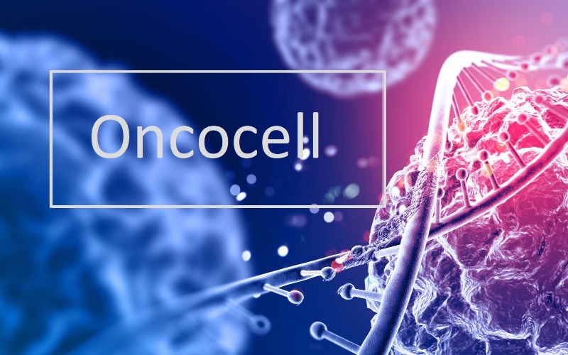 Kalıtsal Meme ve Over Kanser Paneli